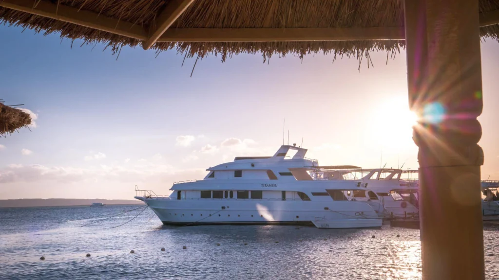 الفندق سى جل ريزورت - الغردقة